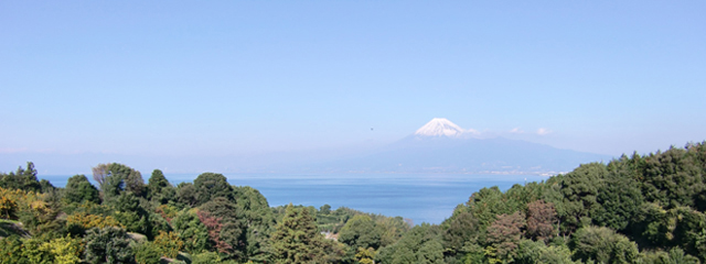 絶景の富士山